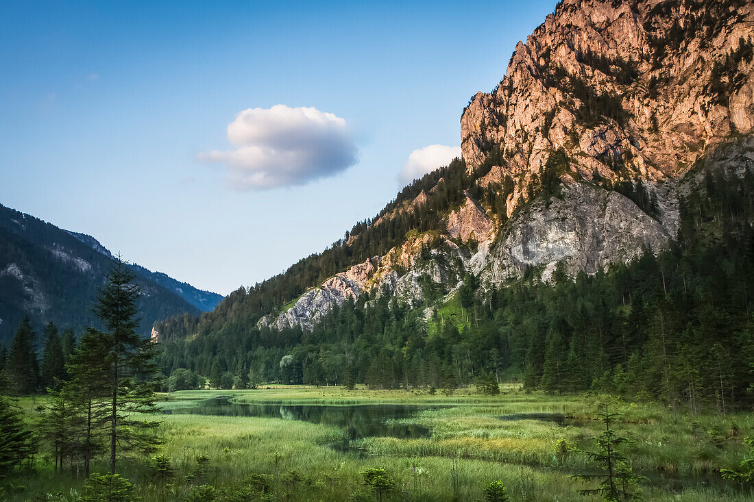 Alpine mountains on a summer evening, overlooking a lake surrounded by green grassland; Wildalpen, Landl, Austria