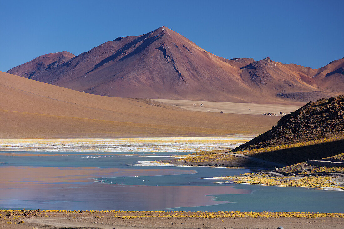 Laguna Chalviri, Altiplano; Potosi, Bolivien