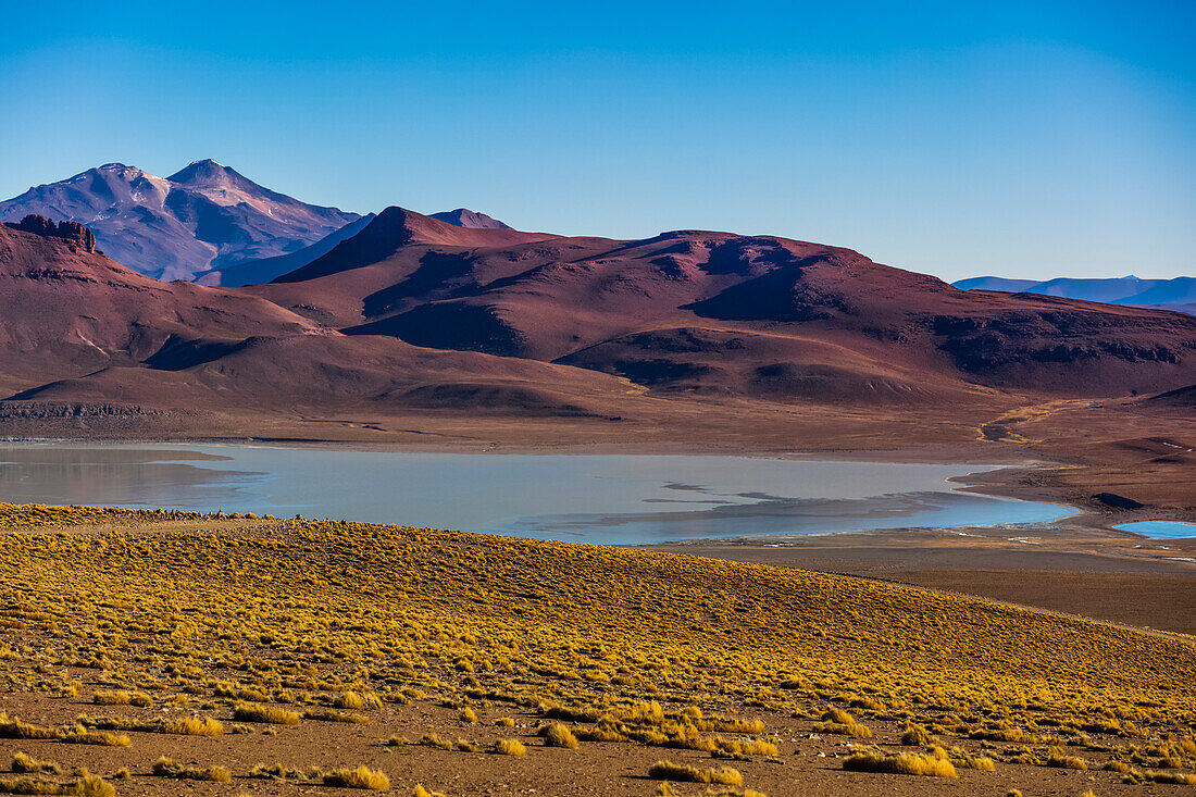 Altiplano landscape; Potosi, Bolivia