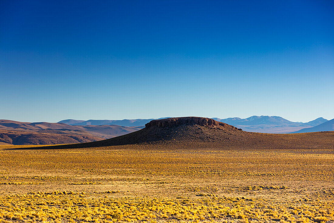 Altiplano-Landschaft; Potosi, Bolivien