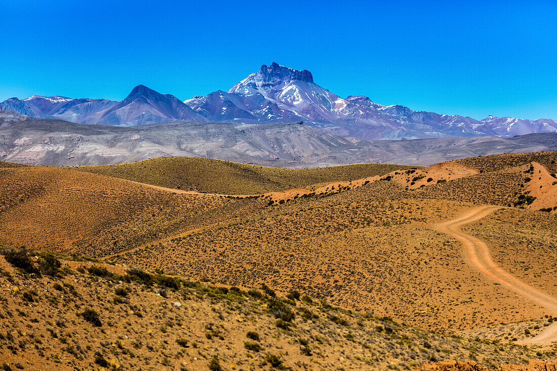 Altiplano landscape; Potosi, Bolivia