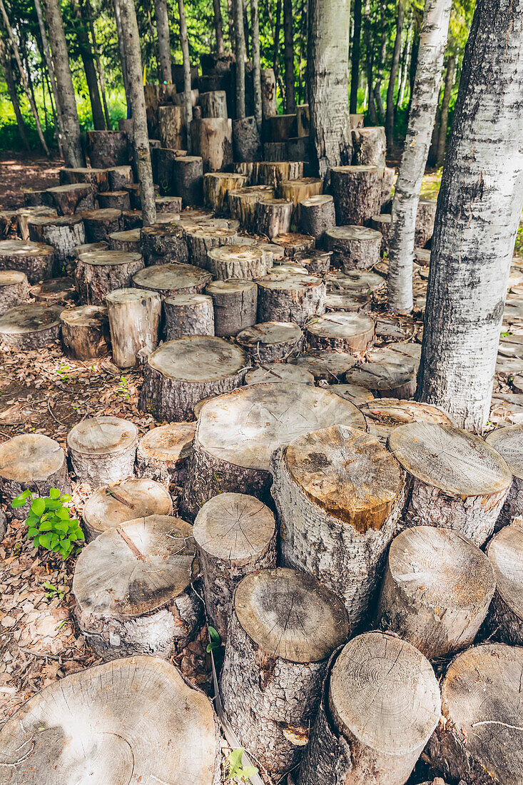 Kunstinstallation in den Reford Gardens; Price, Quebec, Kanada