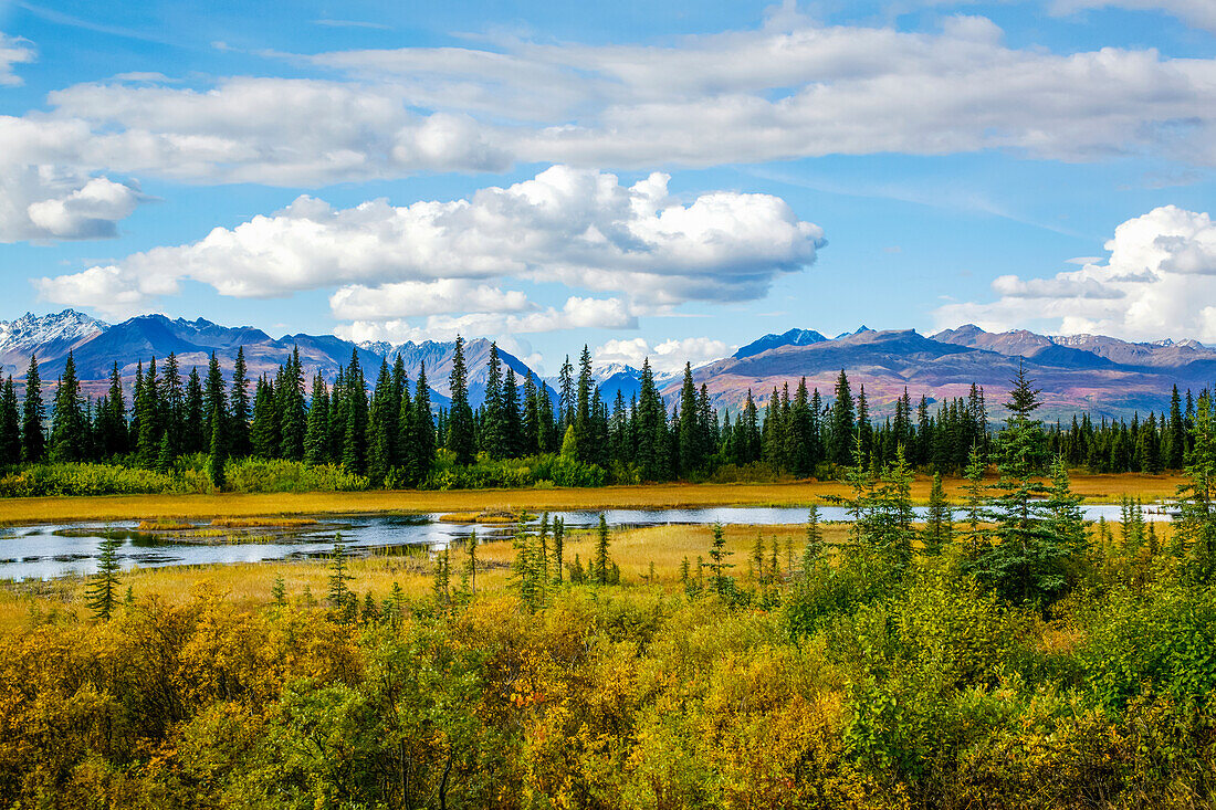 Schöne Aussicht auf die Alaska Range. Dieses Bild wurde vom Hurricane Train aus aufgenommen, der in das Hinterland von Alaska fährt. Teiche, Herbstfarben und majestätische Berge und Täler; Alaska, Vereinigte Staaten von Amerika