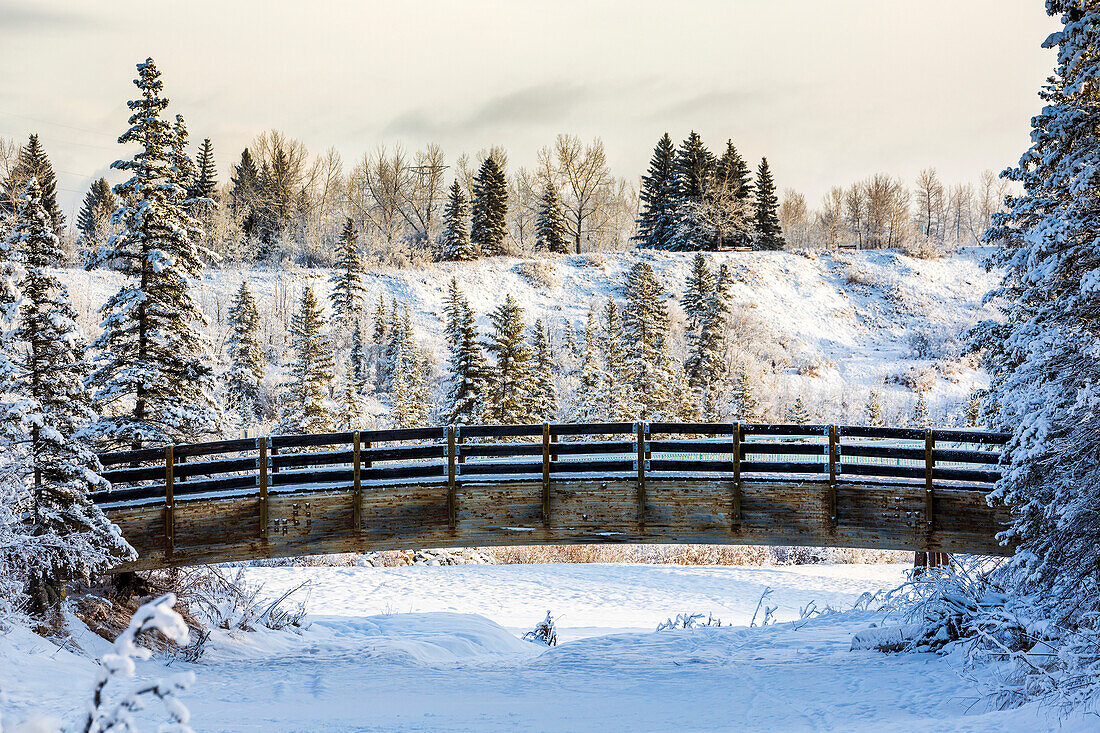 Wooden bridge over a snow-covered creek with frosted trees and snow-covered hillside in the background; Calgary, Alberta, Canada