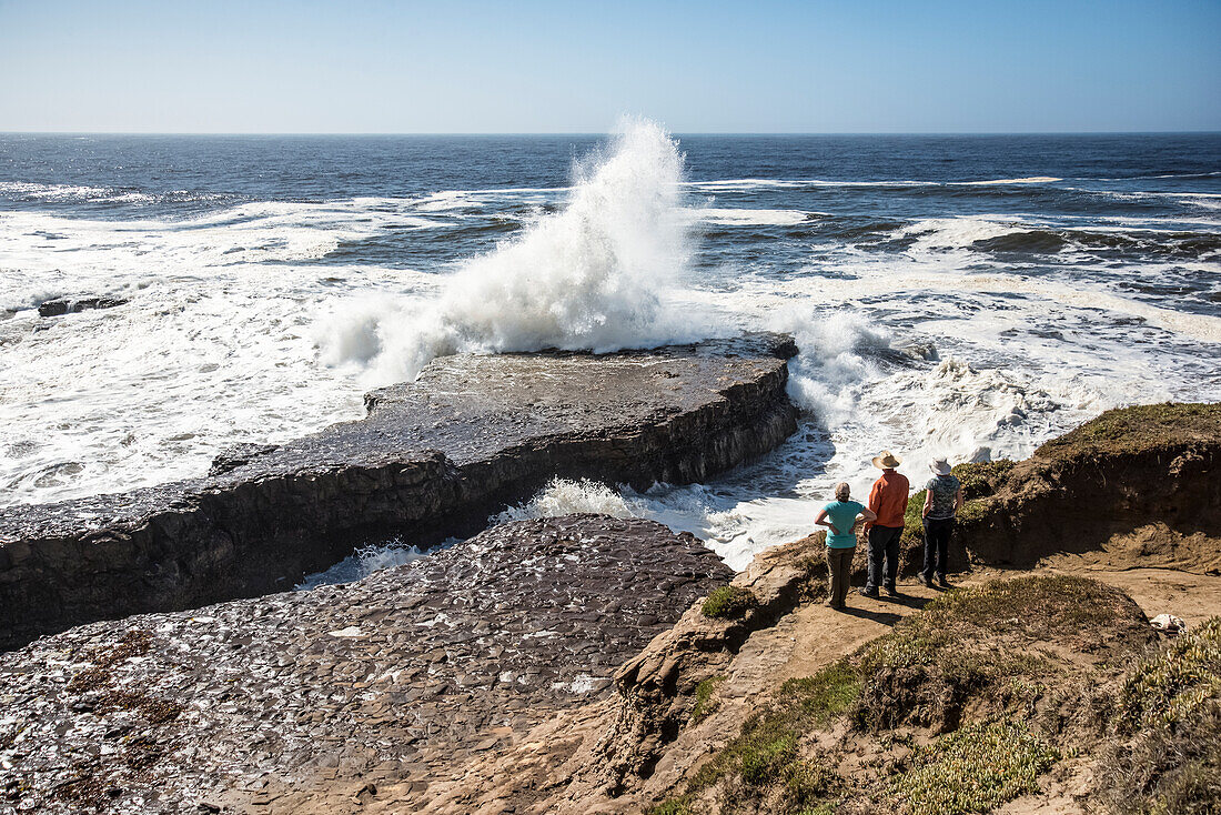 Drei Personen stehen auf einer Klippe und blicken auf die Wellen, die gegen die Felsen unter ihnen schlagen, Wilder Ranch State Park; Kalifornien, Vereinigte Staaten von Amerika