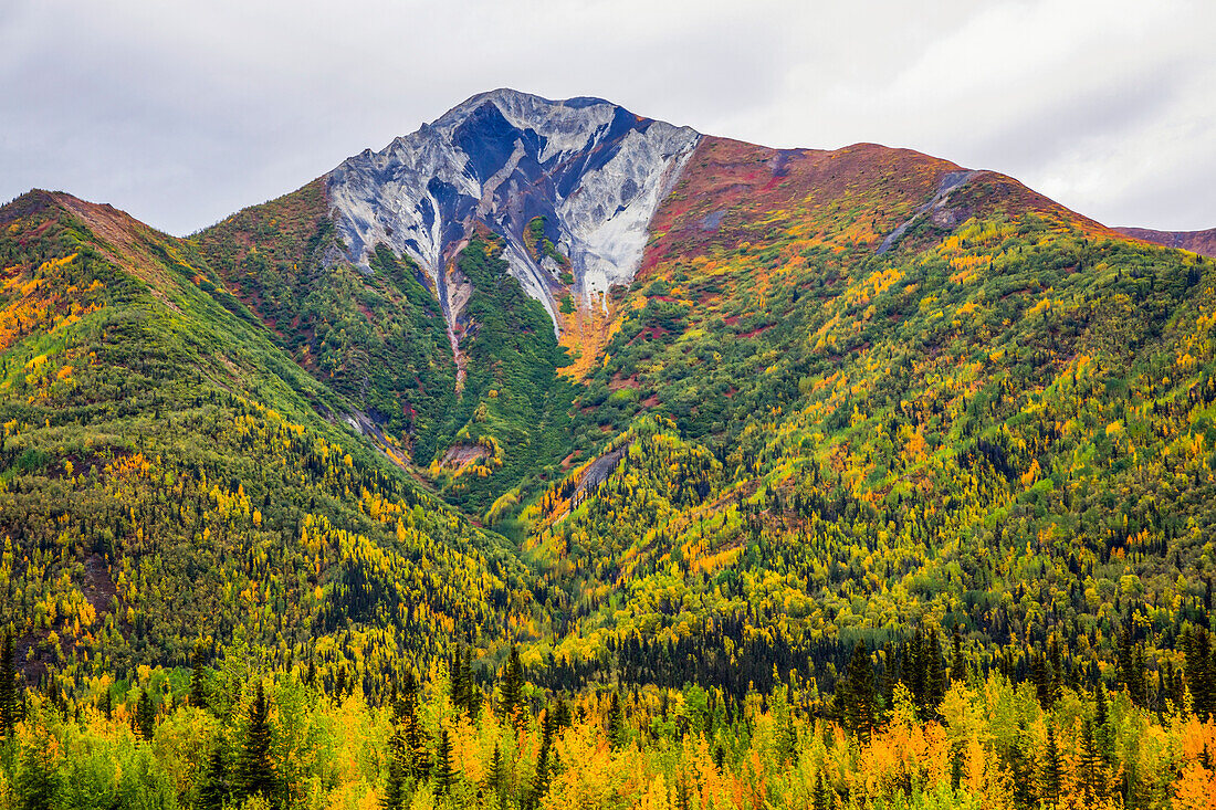 Mountain with autumn coloured foliage across from the Kennecott Copper Mine; McCarthy, Alaska, United States of America