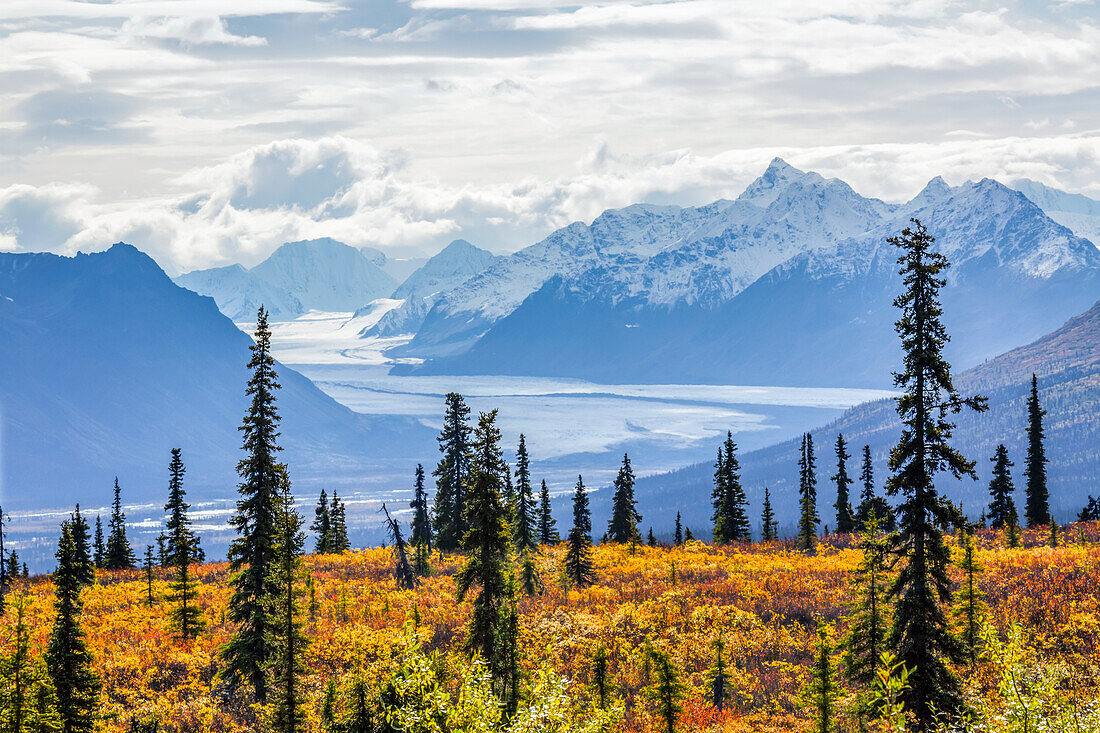 Ein Gletschertal in den Chugach Mountains in Herbstfarben; Alaska, Vereinigte Staaten von Amerika