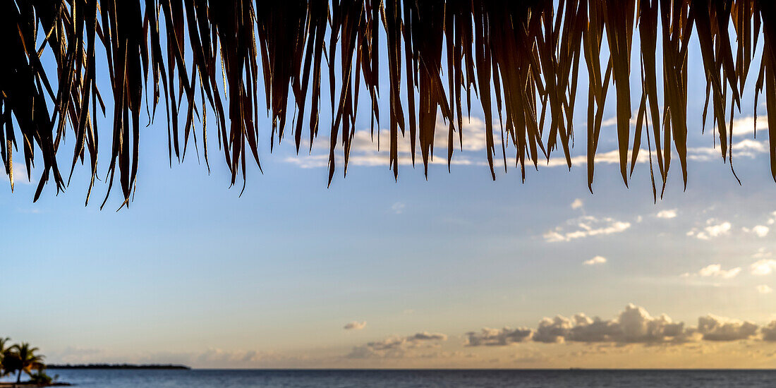 View of the Caribbean Sea at sunset with thatch roof in the foreground, Placencia Peninsula; Belize