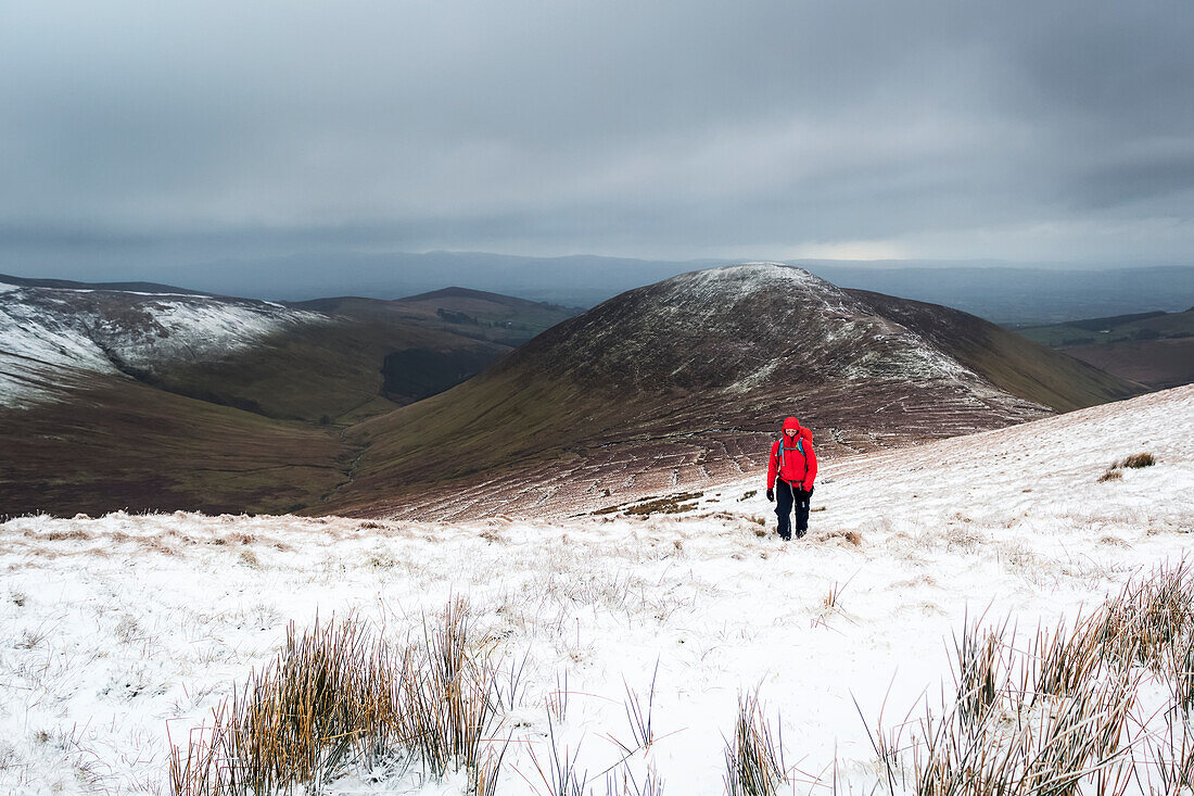 Lone woman hiker in red jacket trekking up a snow-covered mountain in winter on a cloudy day, Galty Mountains; County Tipperary, Ireland