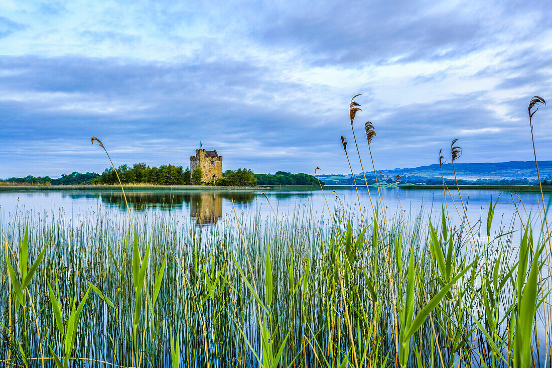 Castlebawn castle on the shore of Lough Derg reflecting in the water on a calm cloudy day in summer with reeds growing in the foreground; Scariff, County Clare, Ireland