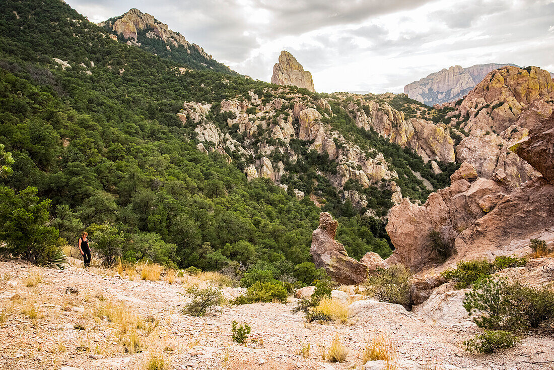 Frau beim Wandern in den Chiricahua Mountains oberhalb des Cave Creek Canyon in der Nähe von Portal; Arizona, Vereinigte Staaten von Amerika