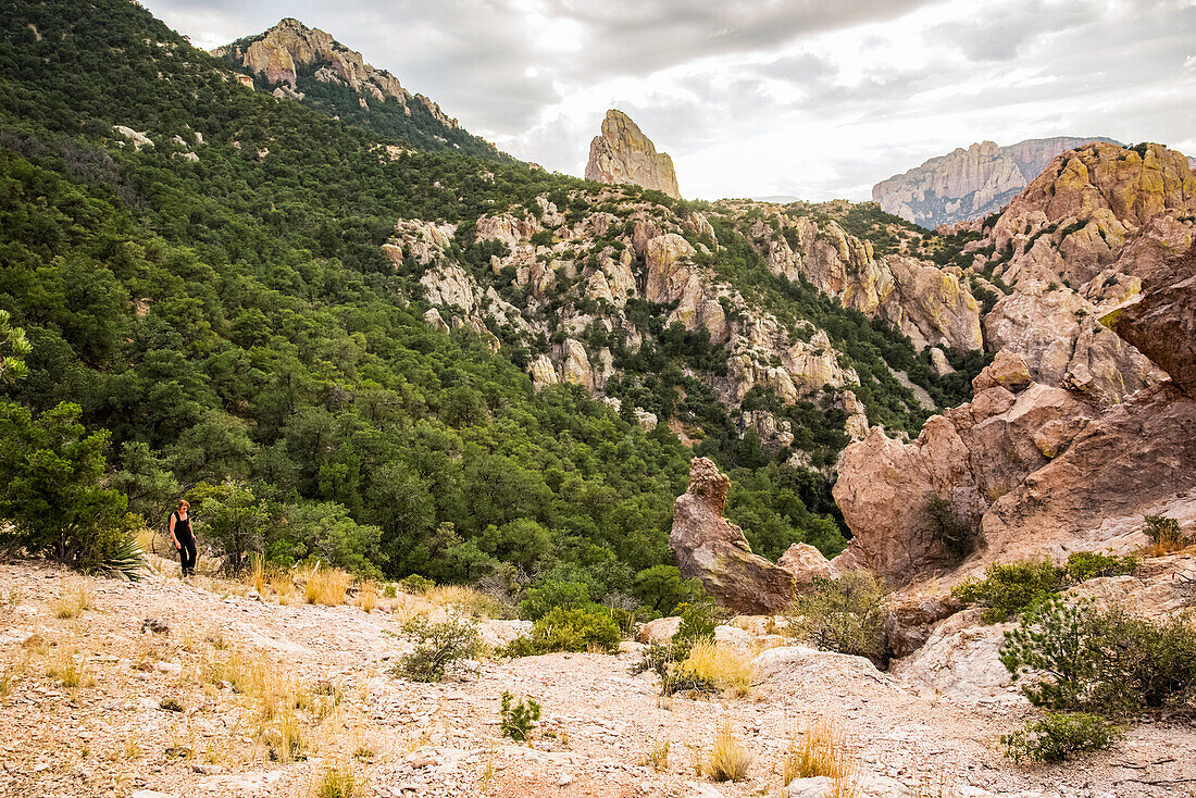 Woman hiking in the Chiricahua Mountains above Cave Creek Canyon near Portal; Arizona, United States of America