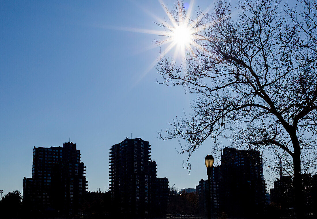Silhouetted residential buildings and tree with sunburst in a blue sky; New York City, New York, United States of America
