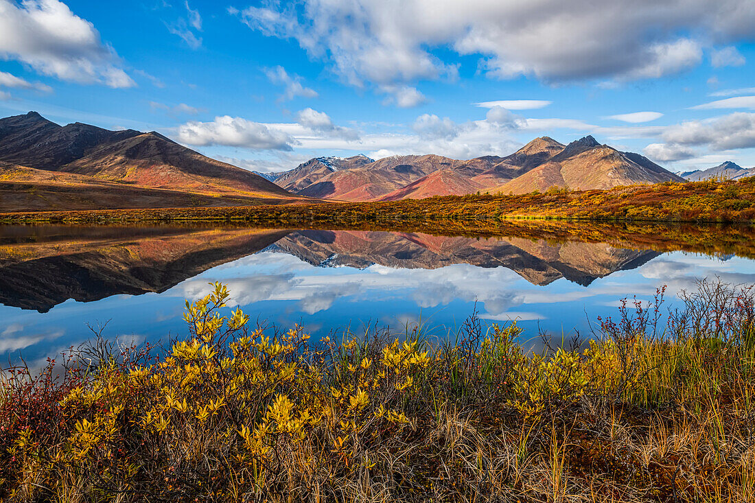 Die Herbstfarben tauchen die Landschaft entlang des Dempster Highway, Yukon, in bunte Farben. Ein erstaunlich schöner Ort zu jeder Jahreszeit, aber im Herbst wirkt er ganz anders; Yukon, Kanada