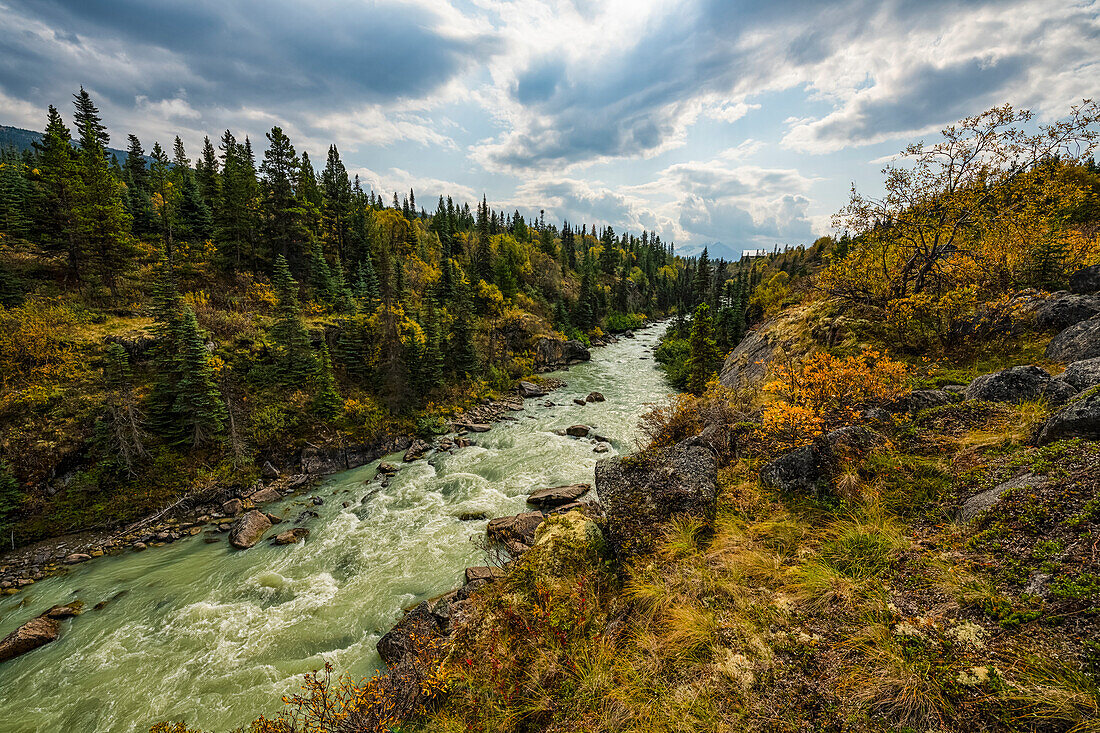 Der Tutshi River fließt nach Norden; Carcross, Yukon, Kanada