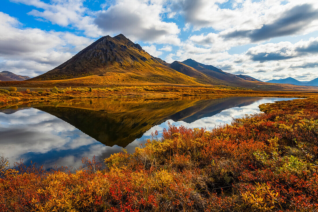Die Herbstfarben beleben die Landschaft am Dempster Highway und spiegeln sich in einem ruhigen See wider; Dawson City, Yukon, Kanada