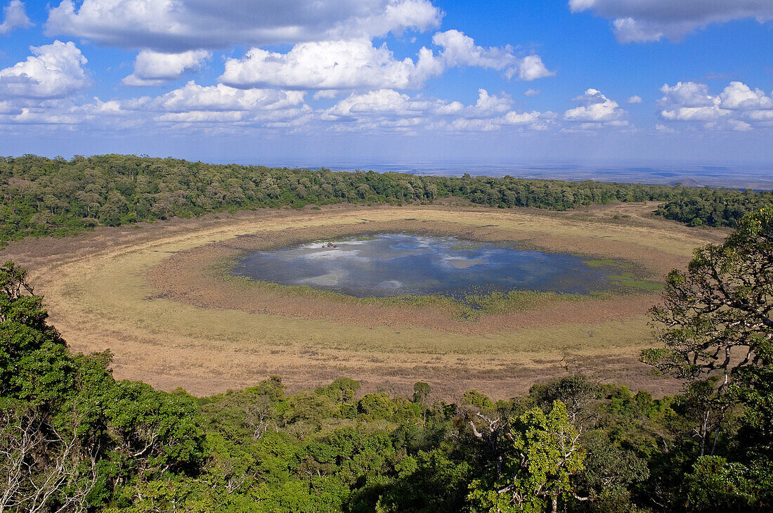 Krater im Marsabit-Nationalpark und -Reservat, Marsabit-Distrikt, Kenia