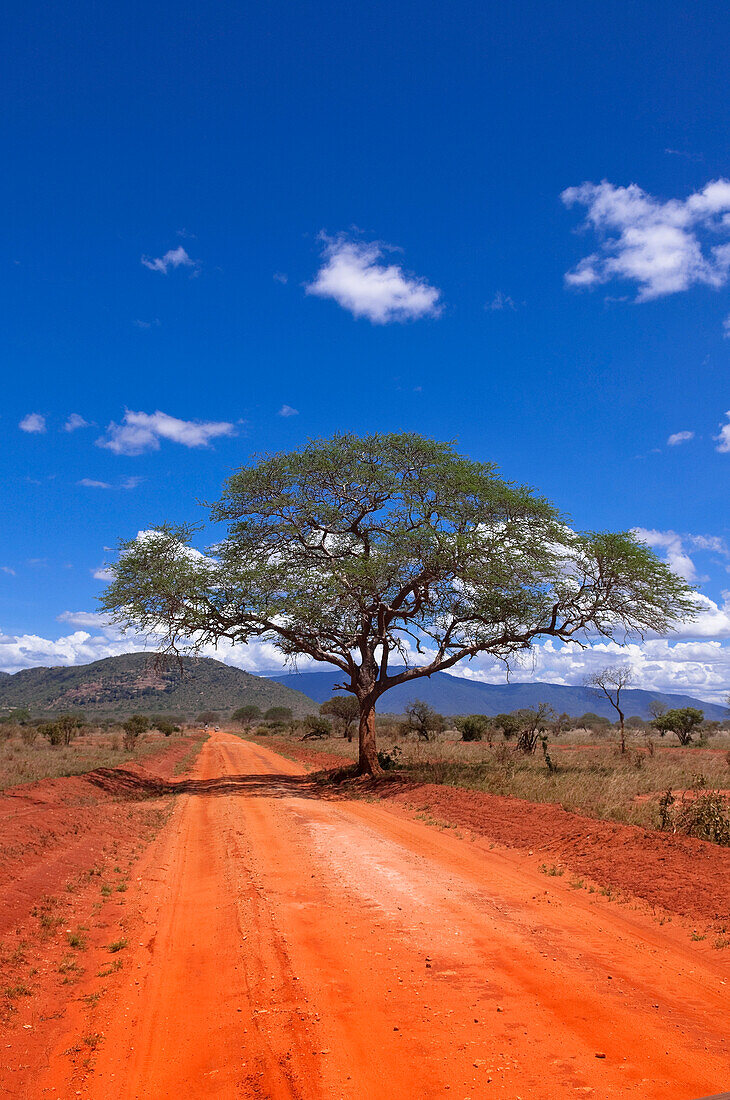 Tsavo National Park, Kenya