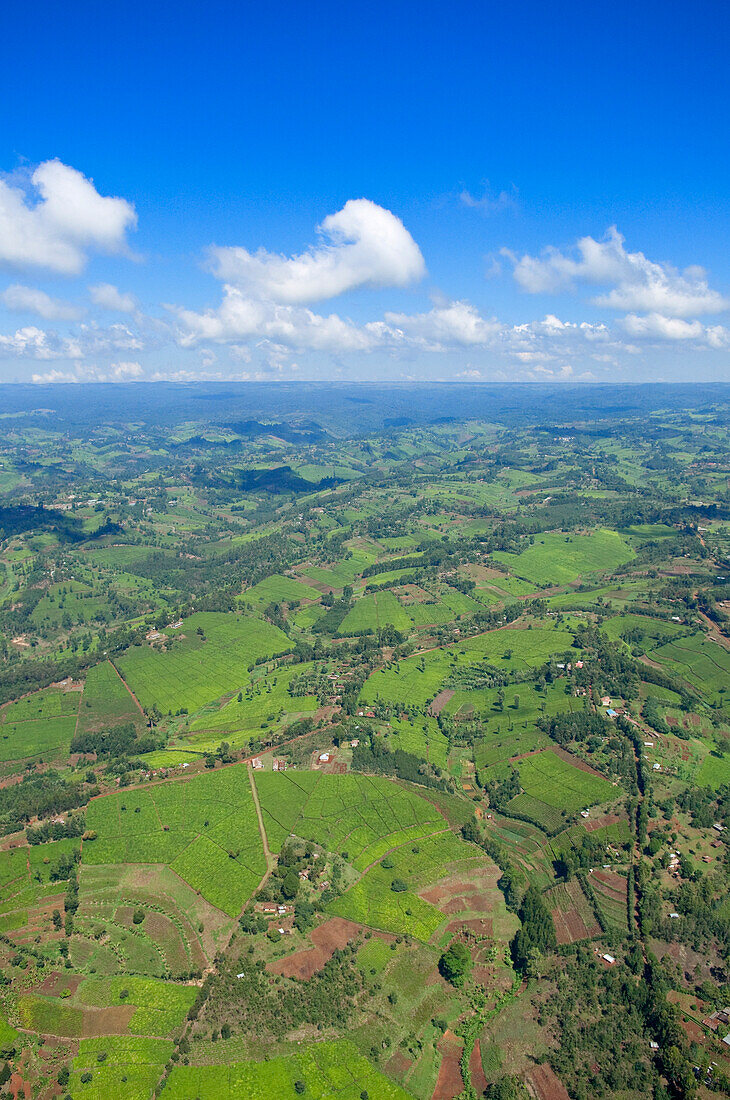 Aerial View of Landscape, Kenya