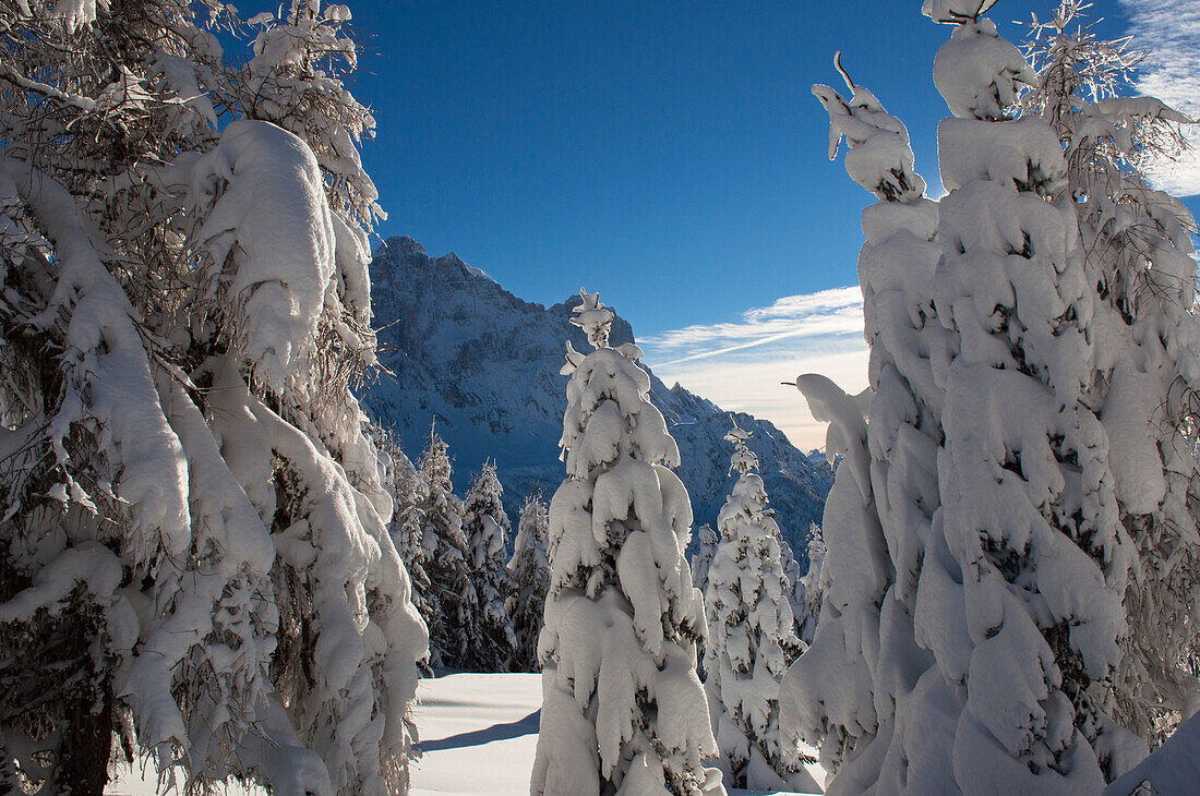 Alleghe, Belluno Province, Veneto, Dolomites, Italy