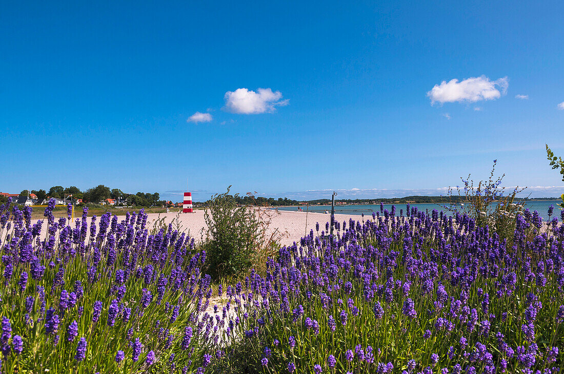 Kerteminde, Insel Fünen, Dänemark