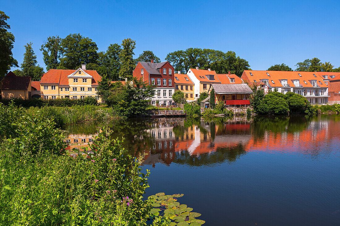 Häuser am Teich mit Seerosenblättern, Nyborg, Insel Fünen, Dänemark