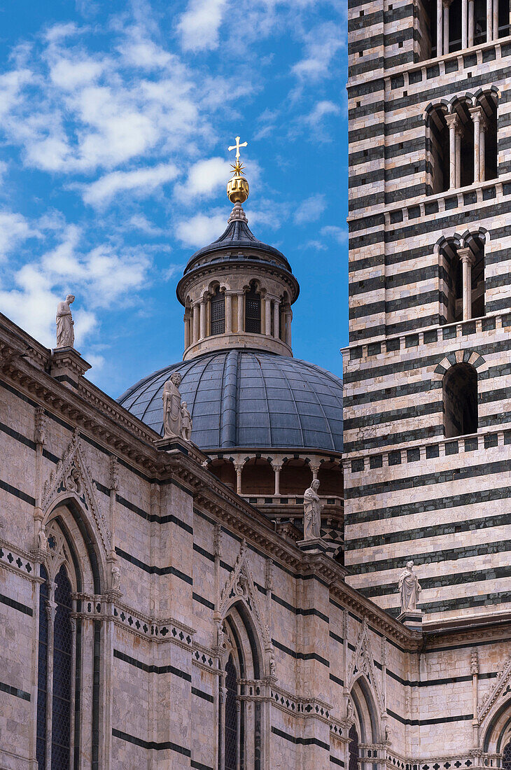Nahaufnahme von Kuppel und Turm, Dom von Siena, Provinz Siena, Siena, Toskana, Italien