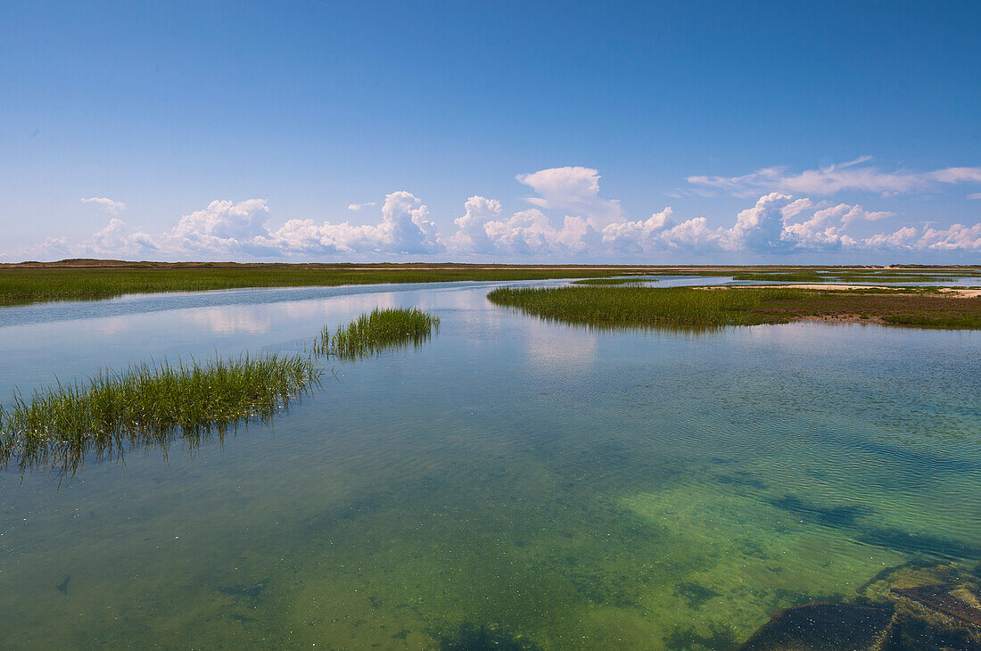 Landschaft mit Wasser und Gräsern, Provincetown, Cape Cod, Massachusetts, USA