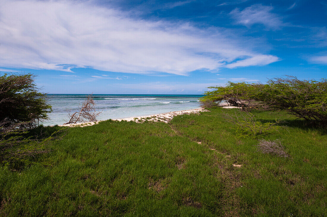 Panorama-Küstenlinie, Arashi Beach, Aruba, Kleine Antillen, Karibik