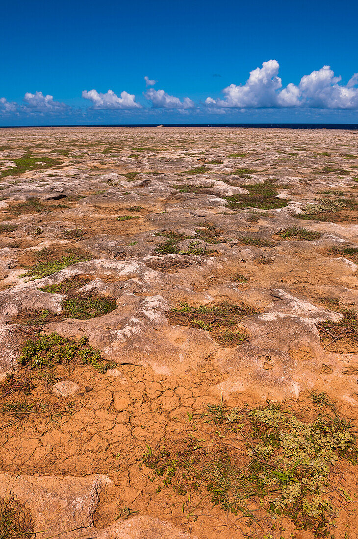 Trockene Landschaft, Arikok-Nationalpark, Aruba, Kleine Antillen, Karibik