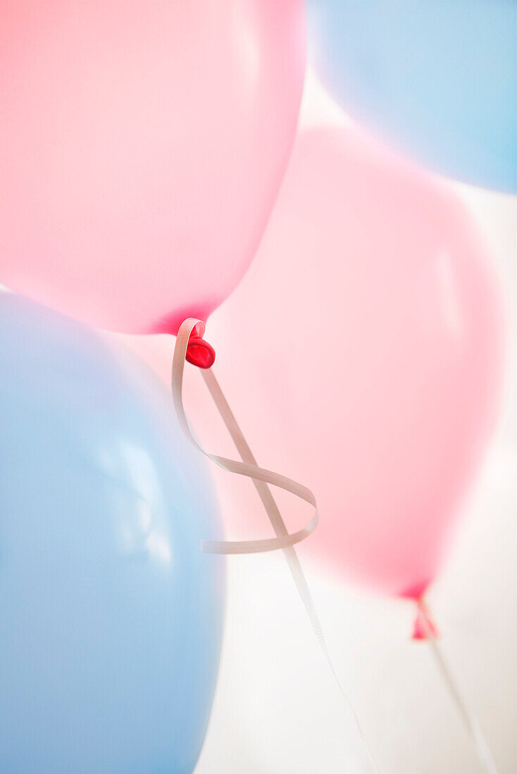 Pink and Blue Balloons