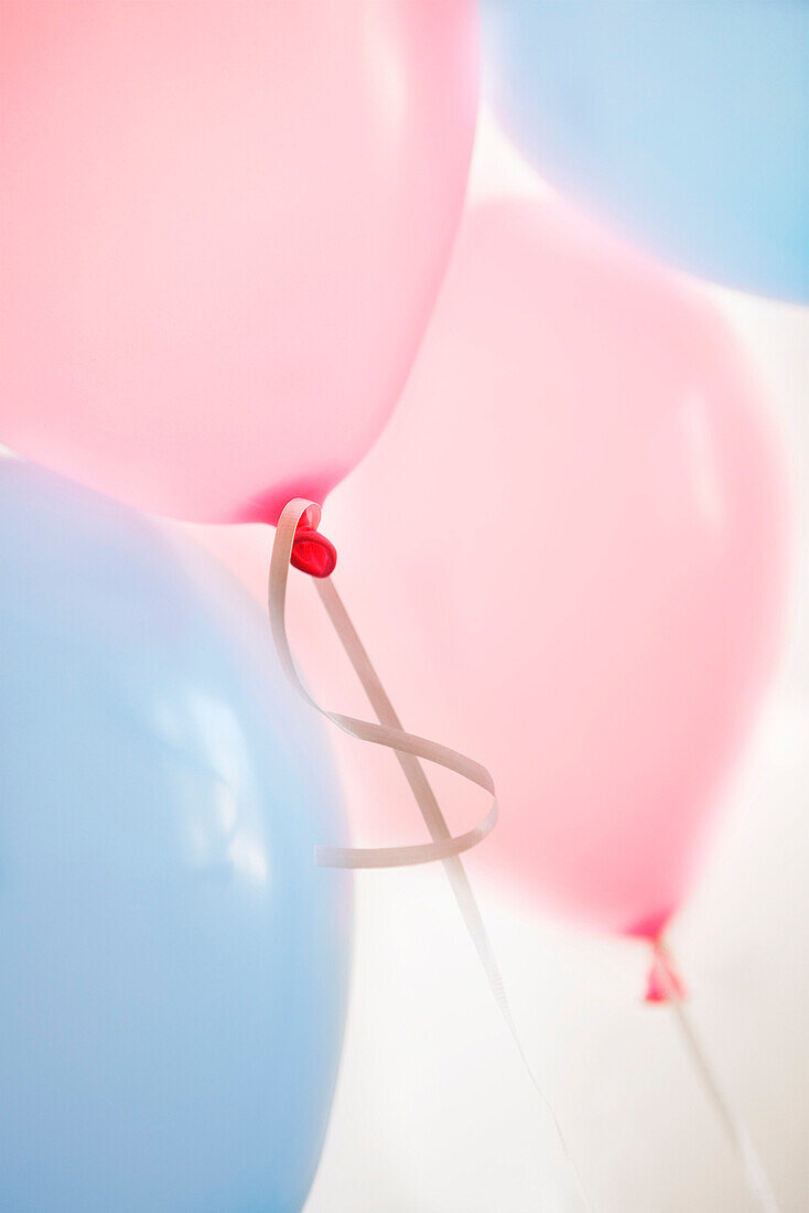 Rosa und blaue Luftballons