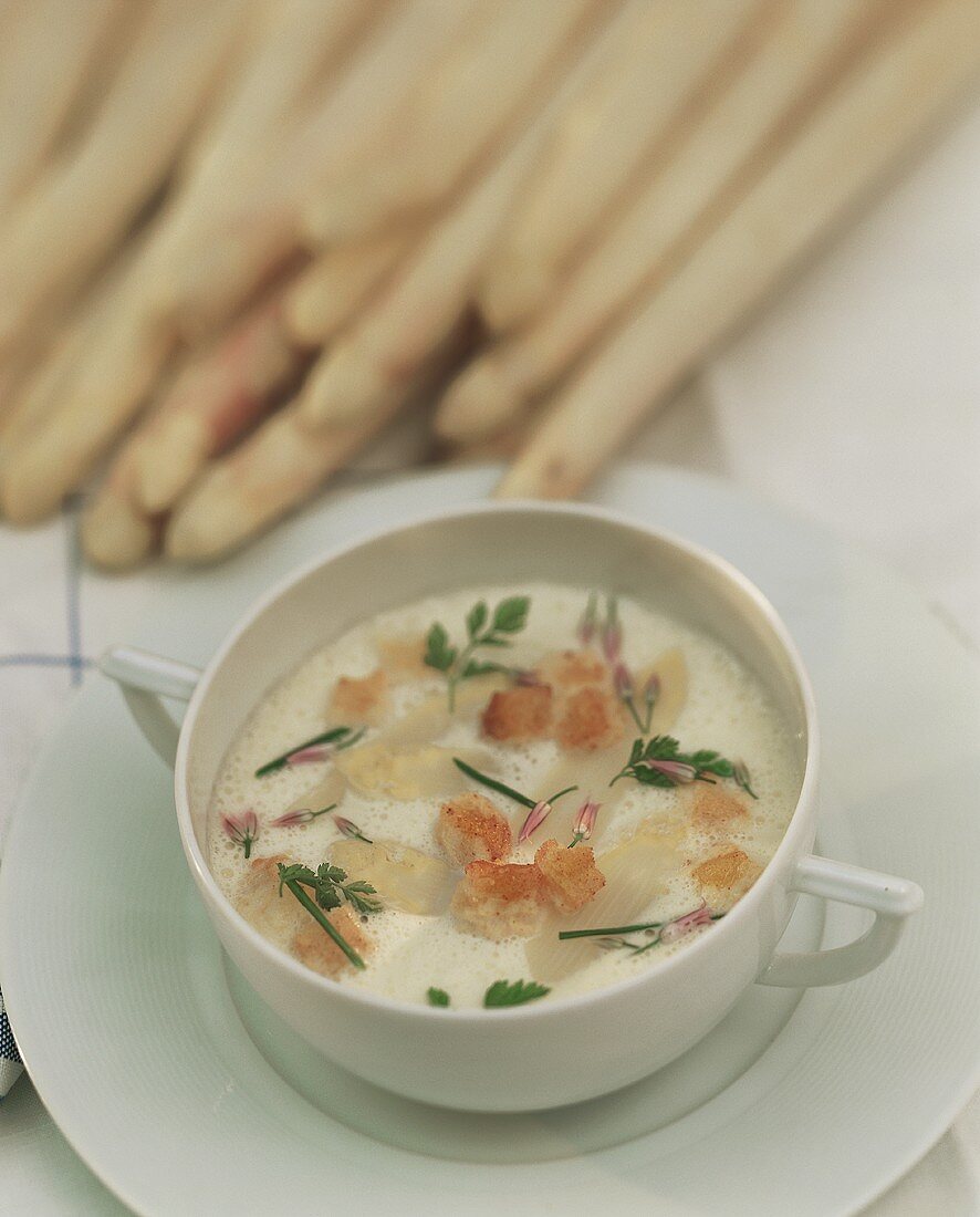 A plate of white asparagus cream soup with chervil & croutons