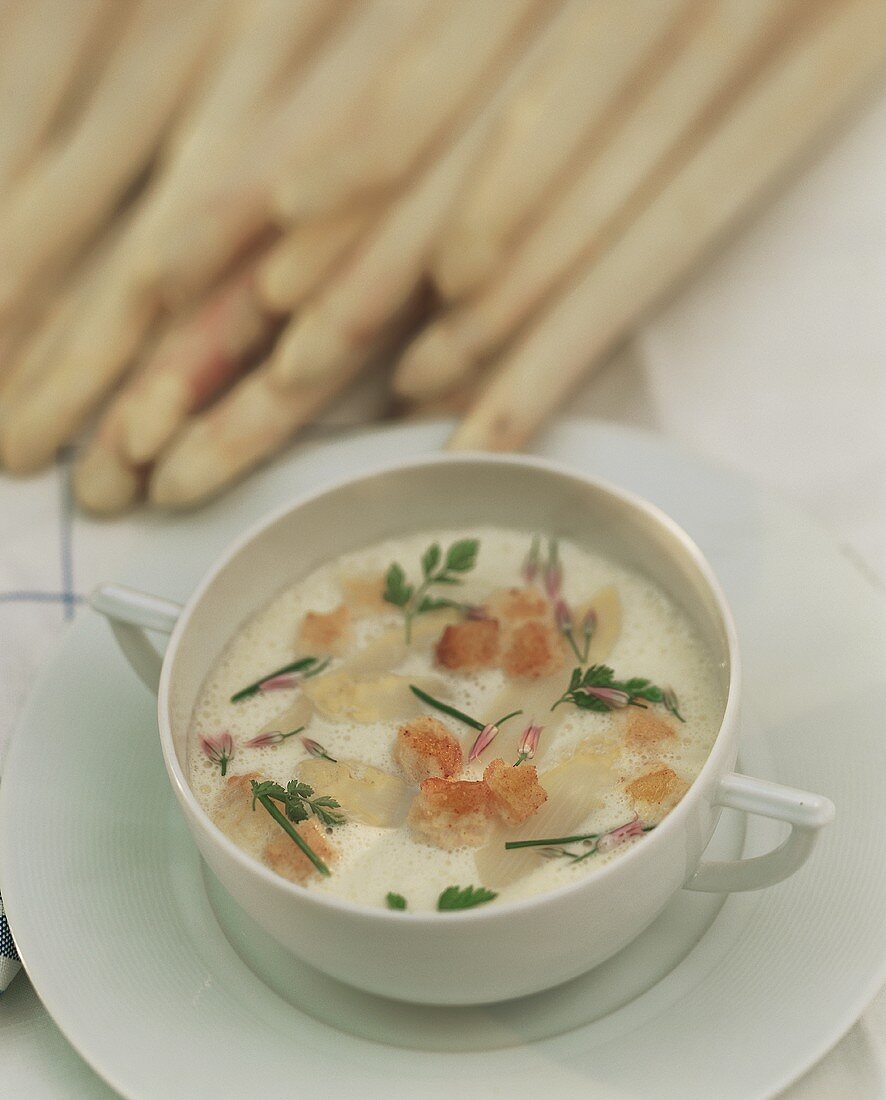 Ein Teller weiße Spargelcremesuppe mit Kerbel & Croûtons