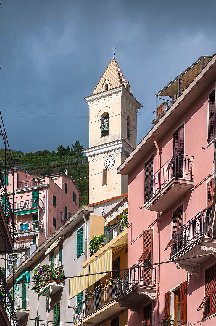 Manarola, Cinque Terre, Bezirk La Spezia, Italienische Riviera, Ligurien, Italien