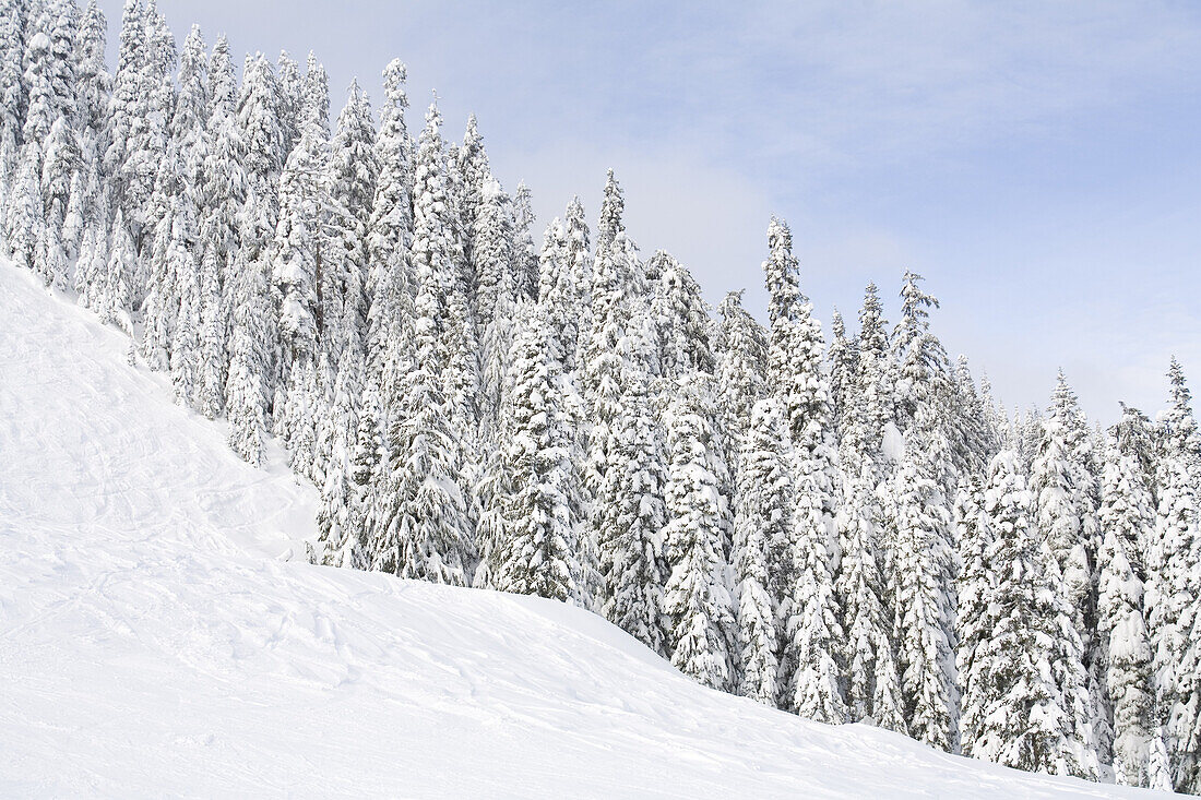 Snoqualmie Pass, Washington, USA