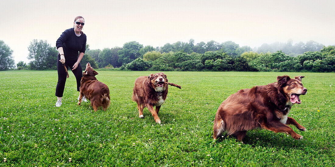 Multiple Exposure of Woman Playing with Dog