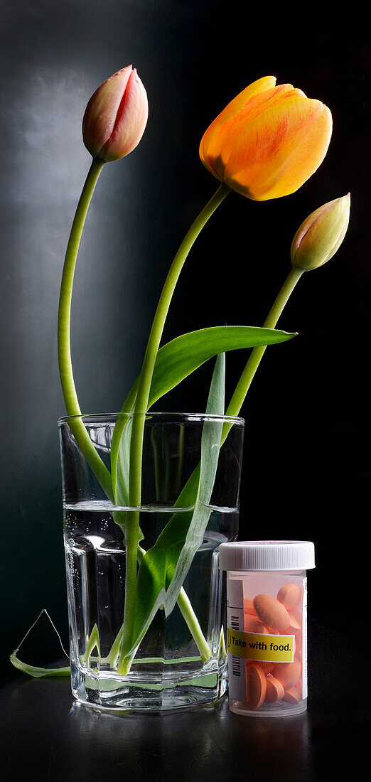 Close-up of water glass with tulips and bottle of pills, medication, studio shot on black background