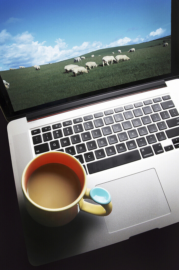 Kaffeetasse auf Laptop-Computer mit Schafherde auf dem Bildschirm
