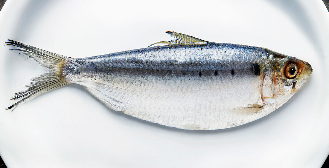 Fresh Herring on Plate