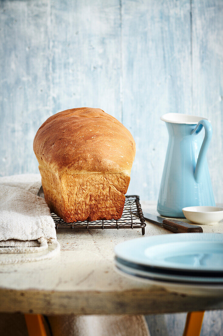 Laib Brot auf Kühlregal, Studioaufnahme