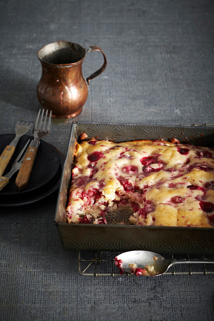 Bushberry Pudding Cake in baking pan, studio shot