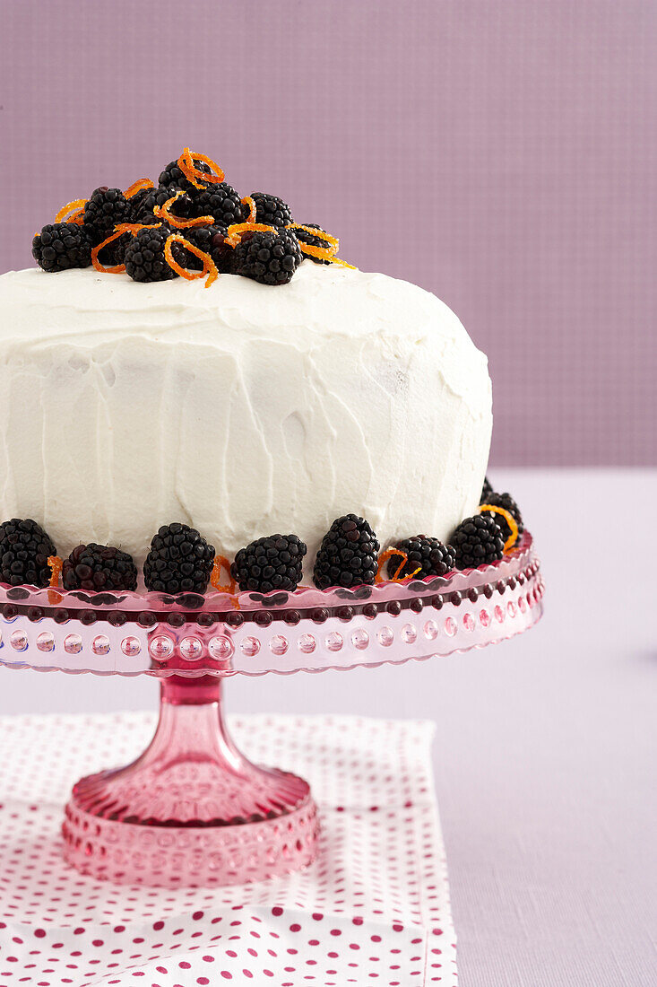 Sponge Cake with Blackberries, Studio Shot