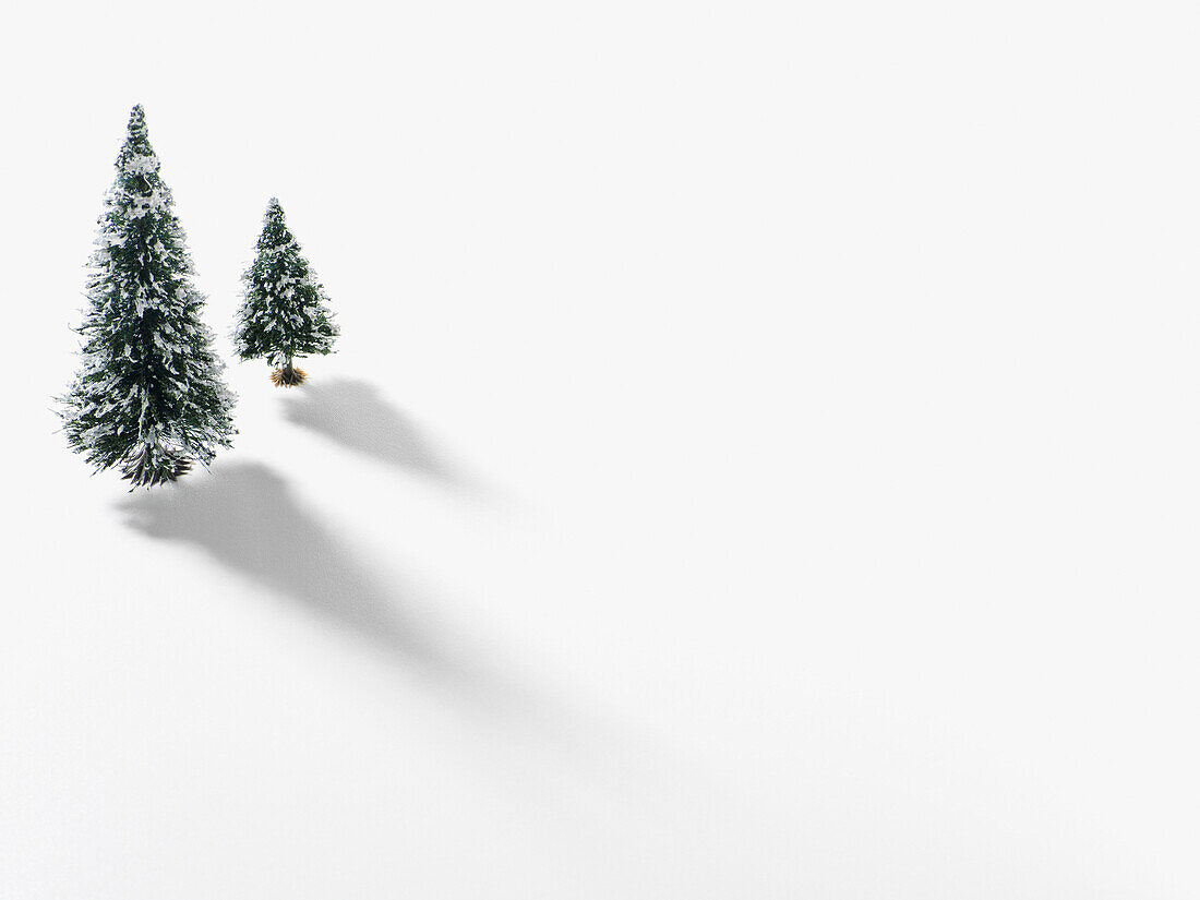 Schneebedeckte Tannenbäume