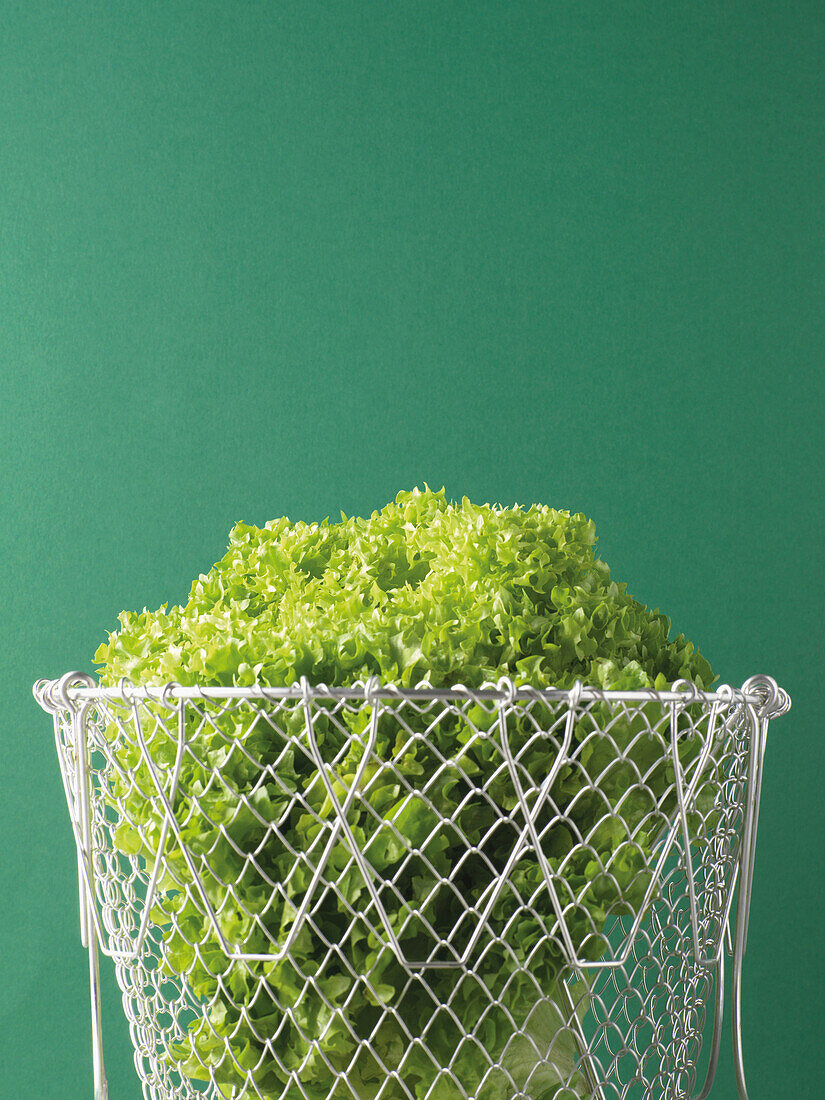 Kopfsalat im Sieb auf grünem Hintergrund, Studioaufnahme