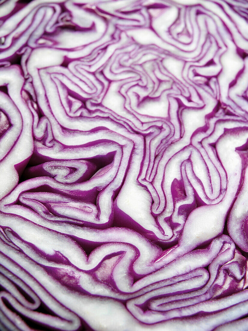 Close-up of Cross-Section of Red Cabbage