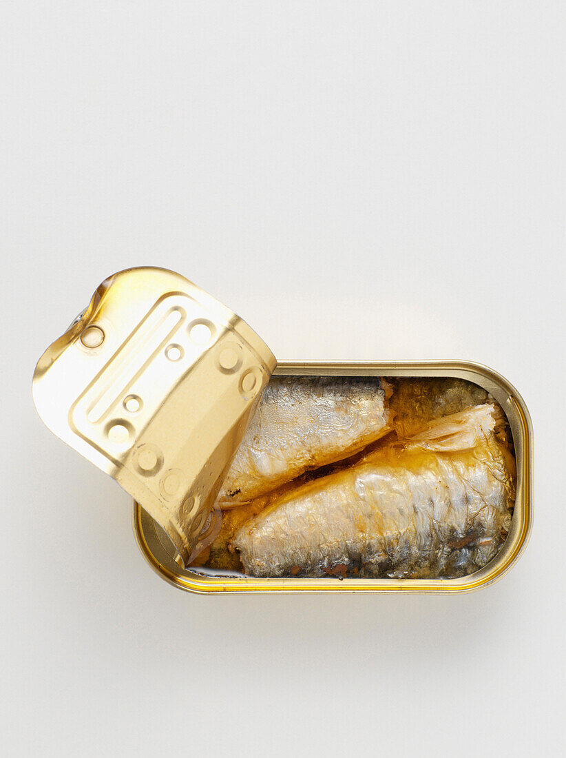 Overhead View of Open Sardine Tin, Studio Shot