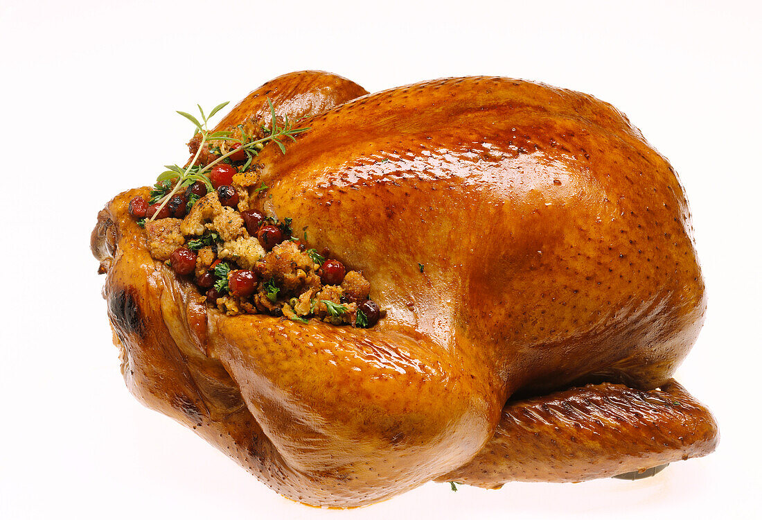 Turkey with Cranberry Stuffing