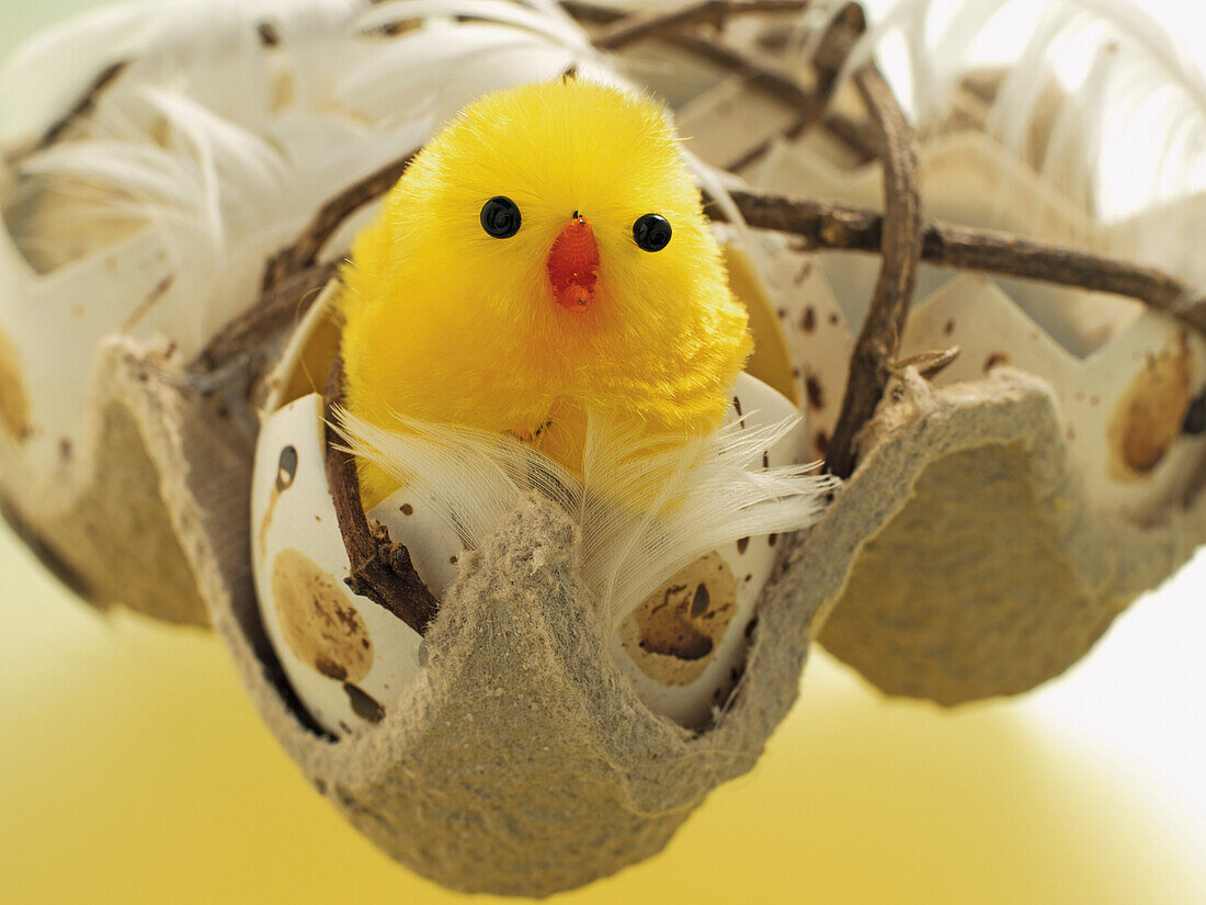 Easter Chick in Broken Eggshell