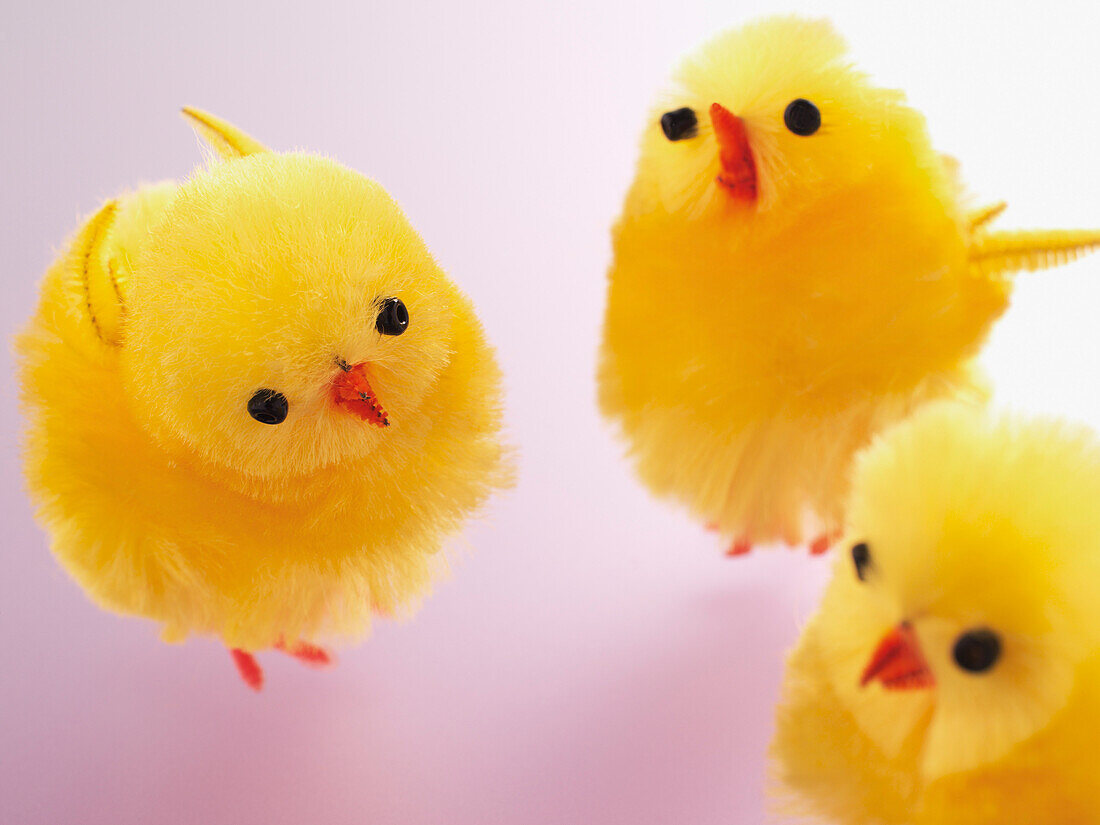 Three Easter Chicks